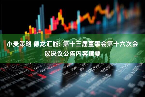 小麦策略 德龙汇能: 第十三届董事会第十六次会议决议公告内容摘要