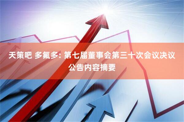 天策吧 多氟多: 第七届董事会第三十次会议决议公告内容摘要