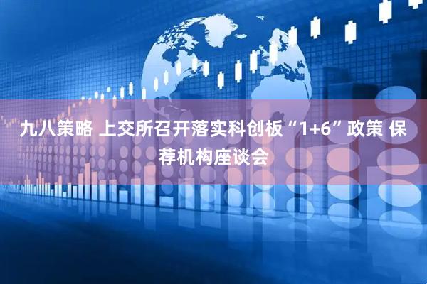 九八策略 上交所召开落实科创板“1+6”政策 保荐机构座谈会