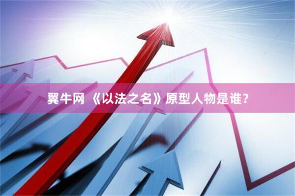 翼牛网 《以法之名》原型人物是谁？