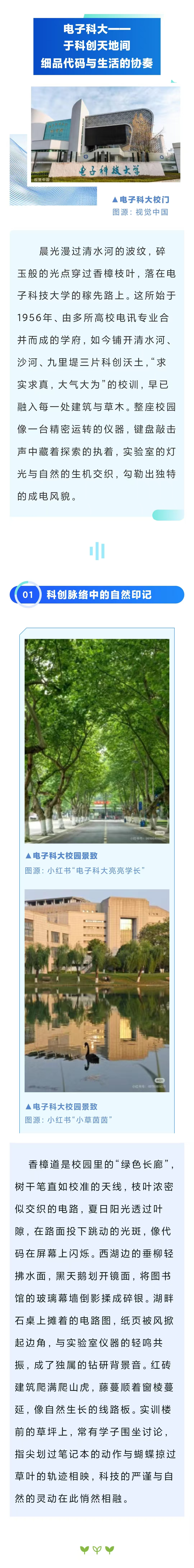 电子科大3
