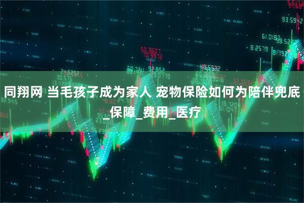 同翔网 当毛孩子成为家人 宠物保险如何为陪伴兜底_保障_费用_医疗