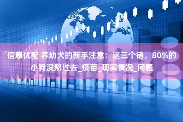 信康优配 养幼犬的新手注意：这三个错，80%的小狗没熬过去_疫苗_现实情况_问题
