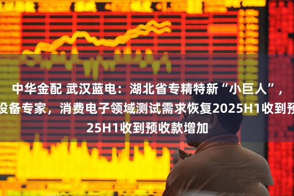 中华金配 武汉蓝电：湖北省专精特新“小巨人”，电池测试设备专家，消费电子领域测试需求恢复2025H1收到预收款增加